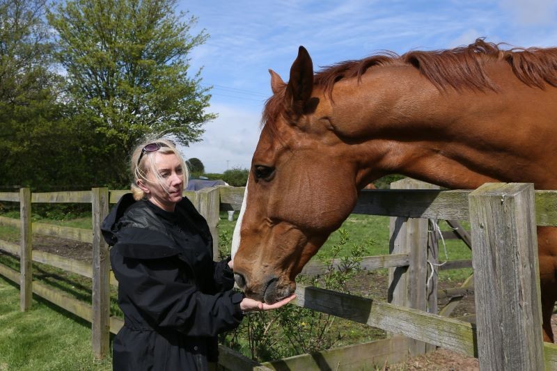 Other image for Police horses canter back home
